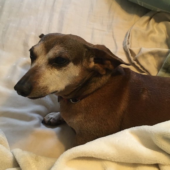 Bundle Up! - Picture 2 of 8